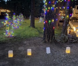 4 Spruce Sena.image06