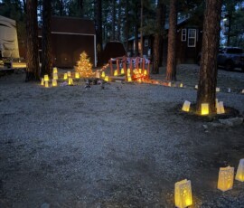 4 Spruce Sena.image08